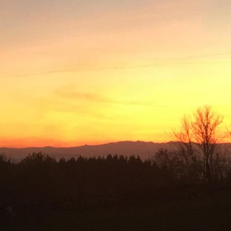 Gite Au Petit Bonheur Villa Chateldon Buitenkant foto